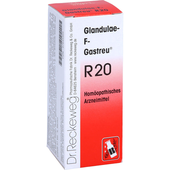 Dr. RECKEWEG & CO Glandulae-F-Gastreu R20 Mischung, 50 ml Lösung