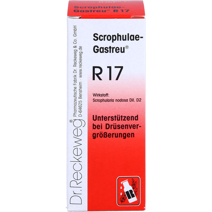 Scrophulae-Gastreu R17 Tropf., 50 ml MIS