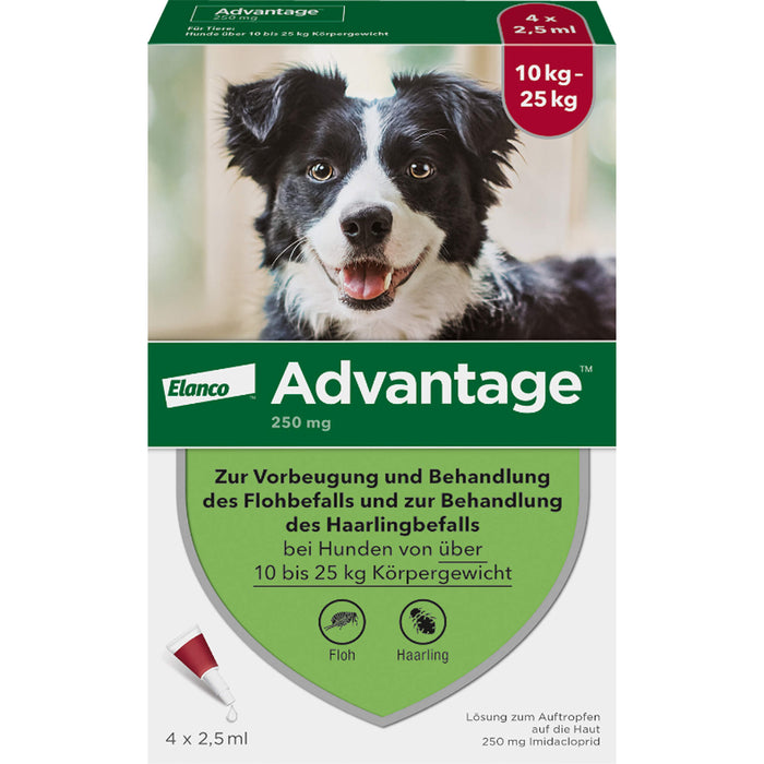 Advantage 250 mg Lösung zum Auftropfen bei Hunden, 4 pc Ampoules