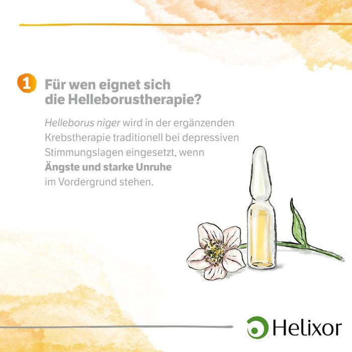Helleborus niger D 4 aquos., 50 pc Ampoules