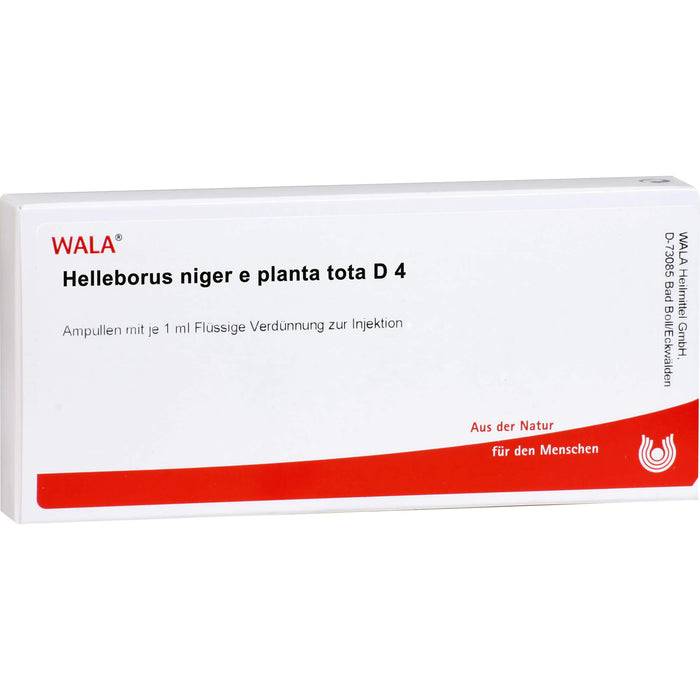 WALA Helleborus niger e planta tota D4 Ampullen, 10 pc Ampoules