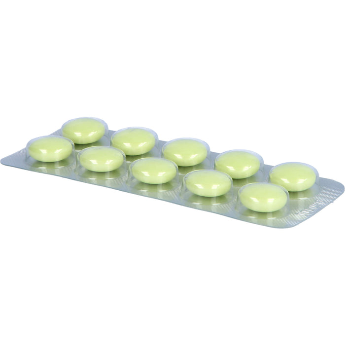 Silymarcur Tabletten bei Lebererkrankungen, 100 pcs. Tablets