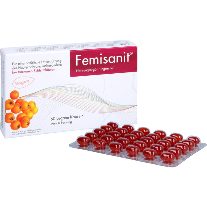 Femisanit Kapseln, 60 pcs. Capsules