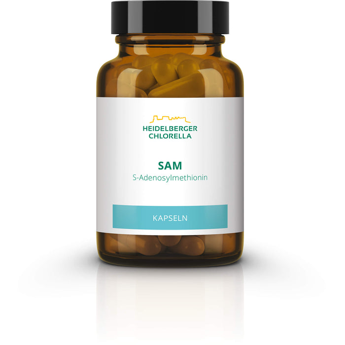 Sam S-Adenosylmethionin, 60 St KAP