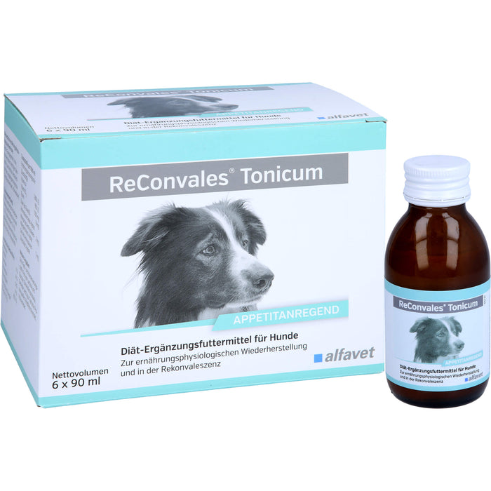 ReConvales Tonicum Hund, 6X90 ml TON