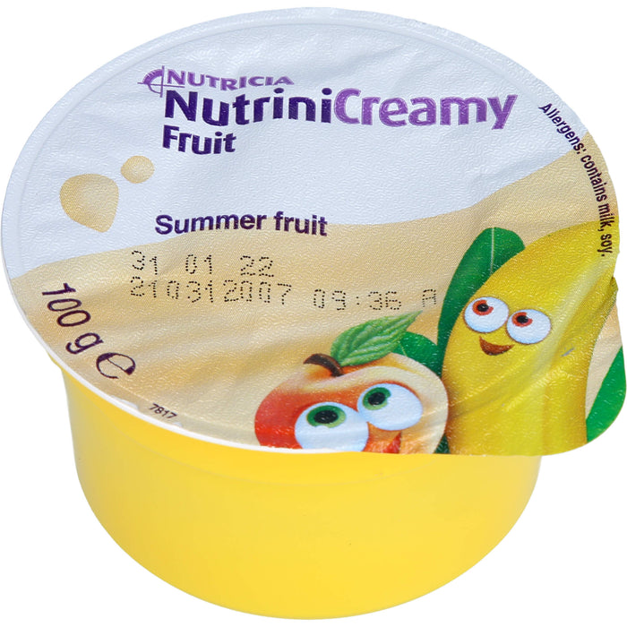 Nutrini Creamy Fruit Sommerfrüchte, 4X100 g