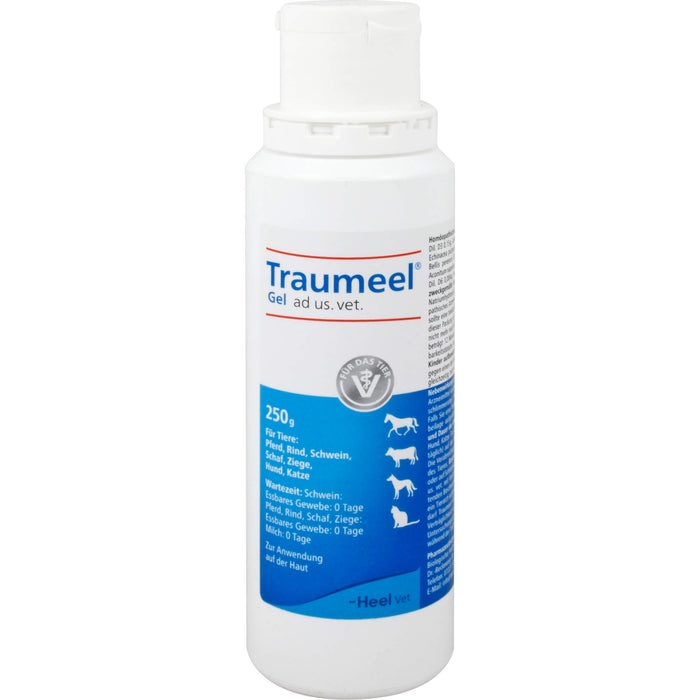 Traumeel Gel ad us. vet., 250 g Gel