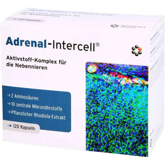 Adrenal-Intercell Aktiv-Komplex für die Nebennieren Kapseln, 120 St. Kapseln