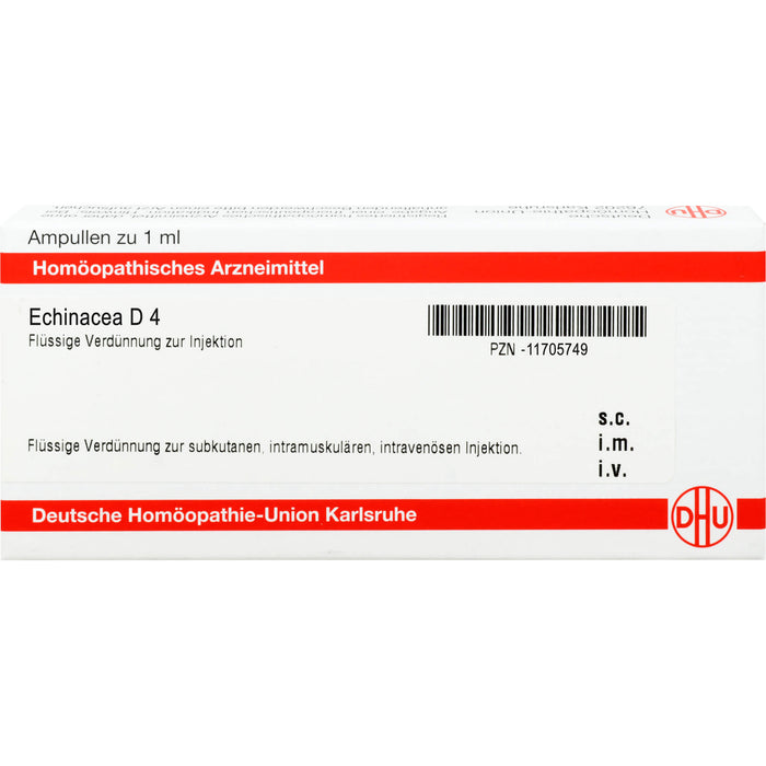 DHU Echinacea D4 Ampullen, 8 St. Ampullen