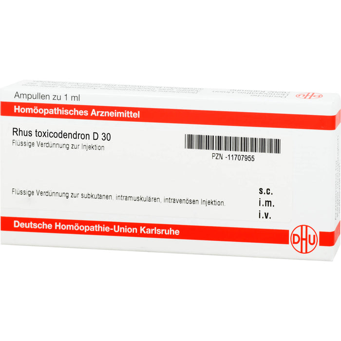 DHU Rhus toxicodendron D 30 Flüssige Verdünnung, 8 pc Ampoules