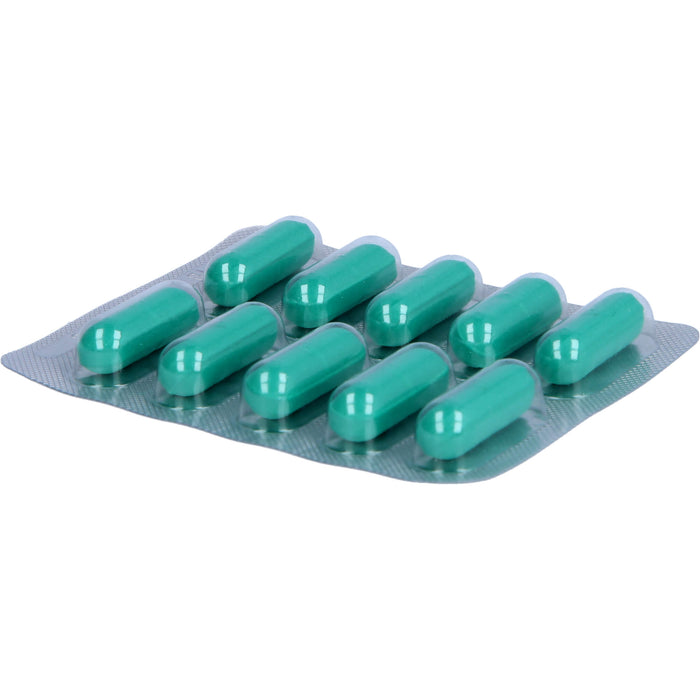 Hepar-SL 640 mg Filmtabletten bei Verdauungsstörungen, 20 pcs. Tablets