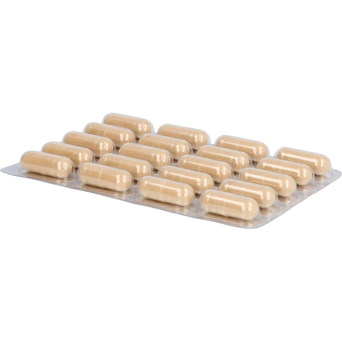 sanhelios F-BRN Kapseln, 100 pcs. Capsules