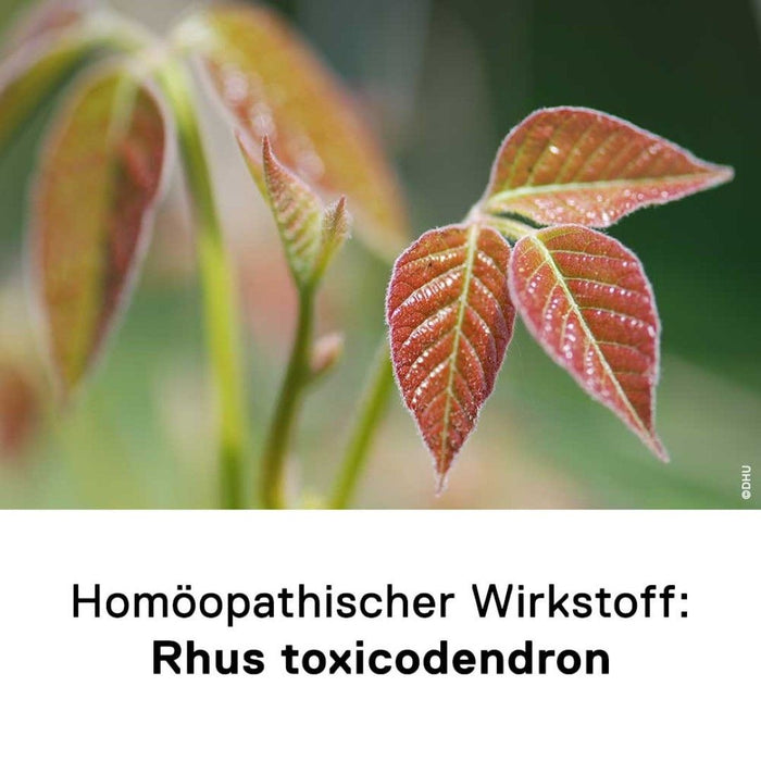 DHU Rhus comp. Gel bei rheumatischen Schmerzen – auch zur langfristigen Anwendung geeignet, 100 g Gel