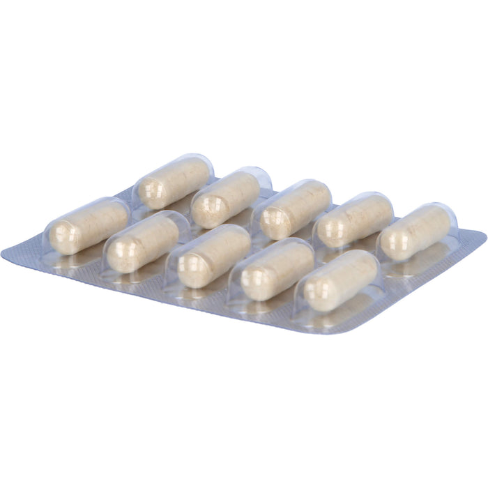 Spermidin Köhler Kapseln, 60 pcs. Capsules