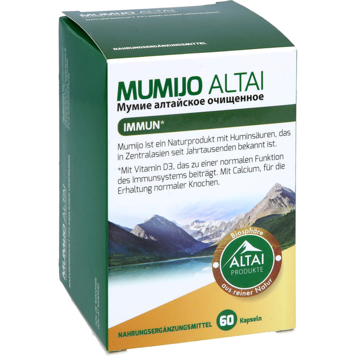 MUMIJO ALTAI, 60 St KAP