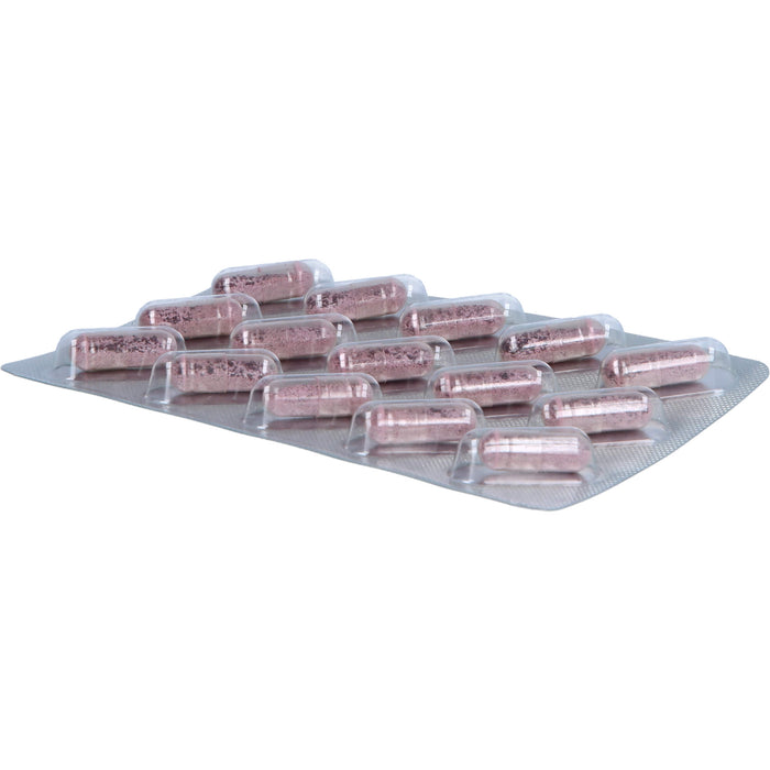 Cranberry 48 mg PAC Alsifemin, 30 St KAP