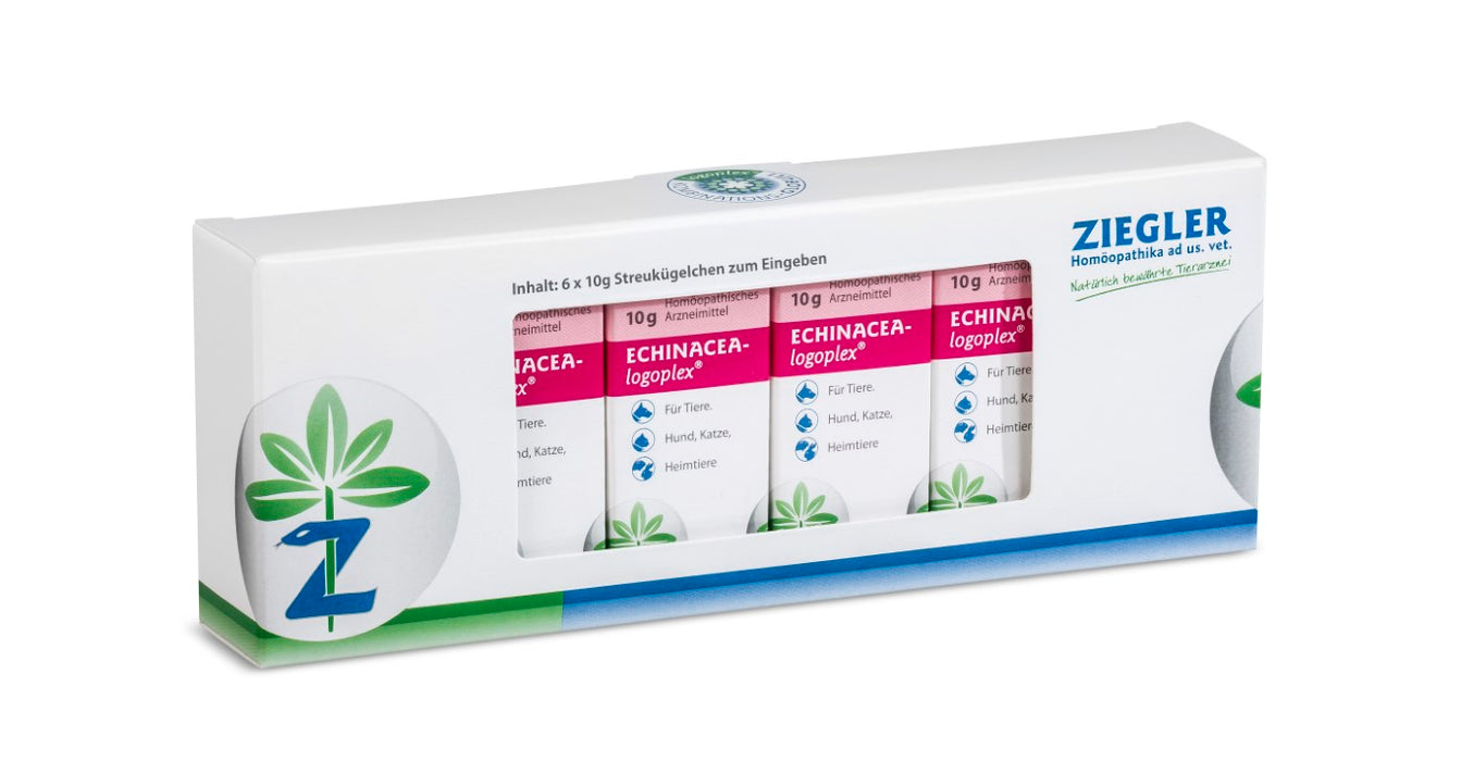 ZIEGLER Echinacea logoplex Globuli, 60 g Globuli