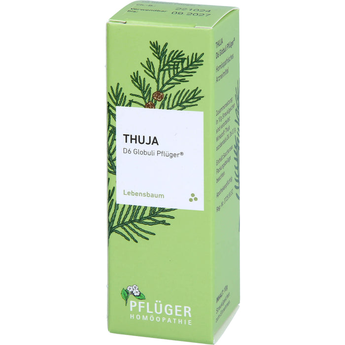 Thuja D6 Globuli Pflüger Dosierspender, 10 g GLO