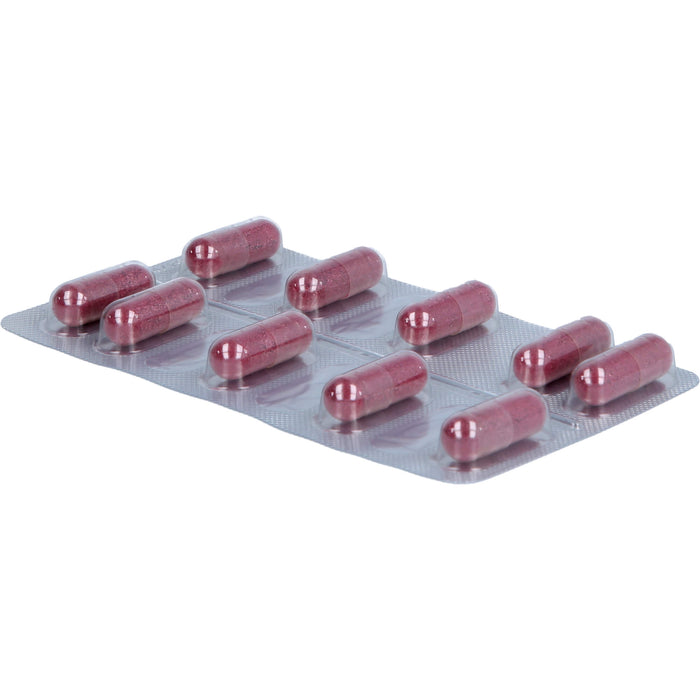 CranBlu aktiv Cranberry-Vitamin-Kapseln Salus, 10 St KAP