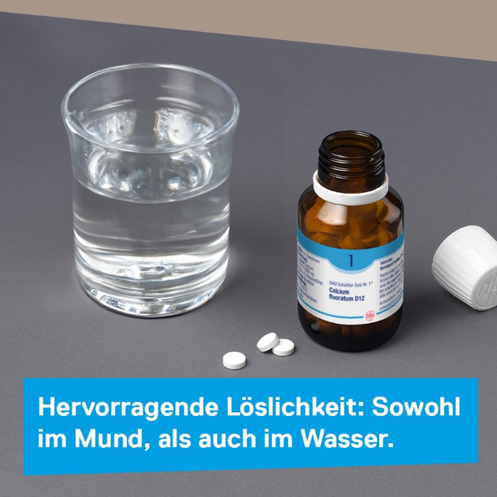 DHU Schüßler-Salz Nr. 1 Calcium fluoratum D12 – Das Mineralsalz des Bindegewebes, der Gelenke und Haut – das Original – umweltfreundlich im Arzneiglas, 80 St. Tabletten