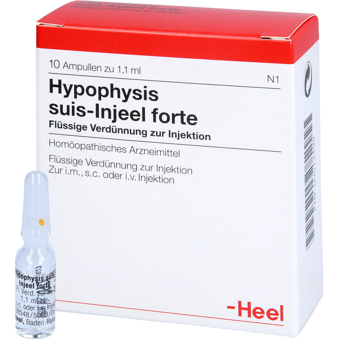 Hypophysis suis-Injeel forte Ampullen, 10 pcs. Ampoules