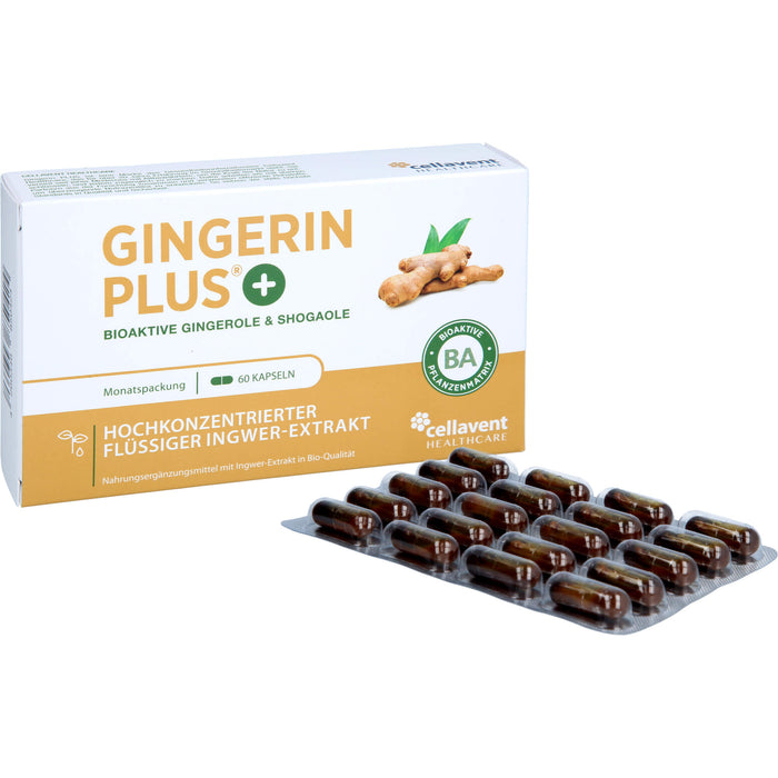 Gingerin PLUS, 60 St KAP