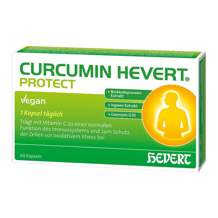 Curcumin Hevert Protect mit Kurkuma-Extrakt, 60 St. Kapseln