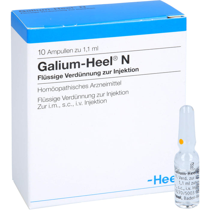 Galium-Heel N Ampullen, 10 St. Ampullen