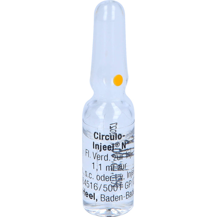 Circulo-Injeel N flüssige Verdünnung, 10 pc Ampoules