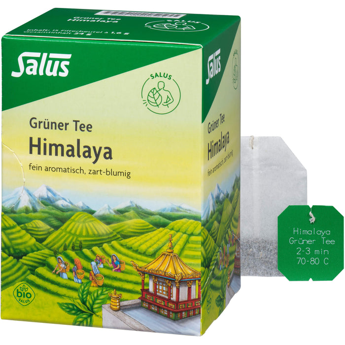 Grüner Tee Himalaya bio Salus, 15 St FBE