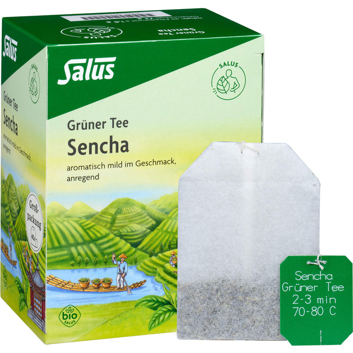 Grüner Tee Grosspackung bio Salus, 40 St FBE