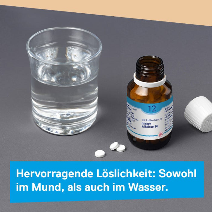 DHU Schüßler-Salz Nr. 12 Calcium sulfuricum D12 – Das Mineralsalz der Gelenke – das Original – umweltfreundlich im Arzneiglas, 900 pc Tablettes