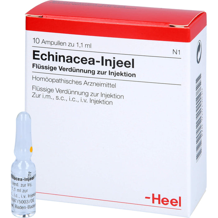 Echinacea-Injeel flüssige Verdünnung, 10 St. Ampullen