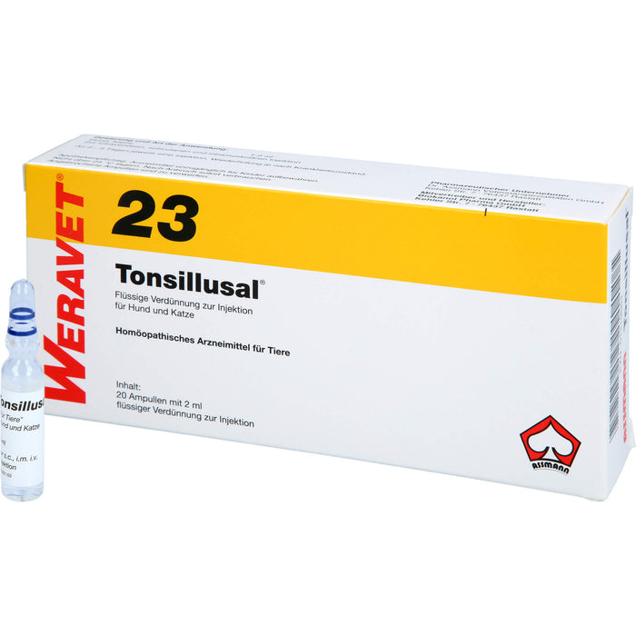 WERAVET  23 Tonsillulal Ampullen für Hunde und Katzen, 20 ml Solution