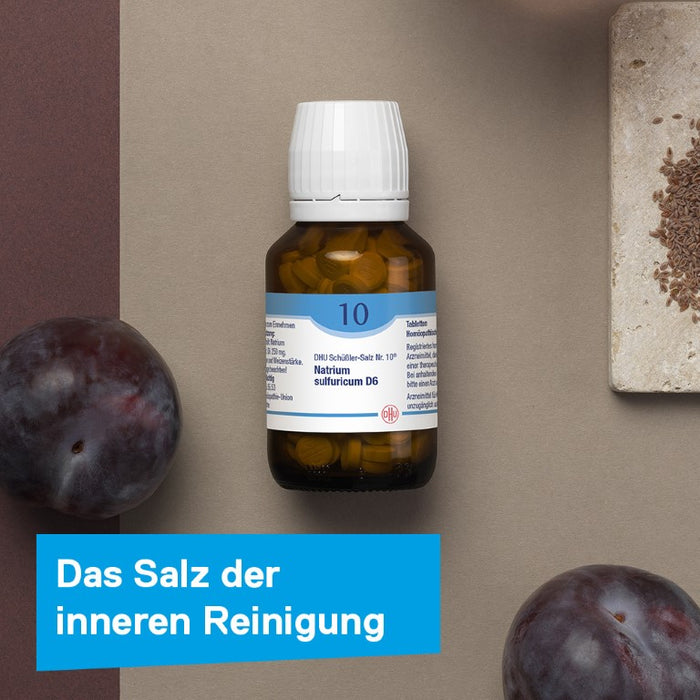 DHU Schüßler-Salz Nr. 10 Natrium sulfuricum D12 – Das Mineralsalz der inneren Reinigung – das Original – umweltfreundlich im Arzneiglas, 420 St. Tabletten