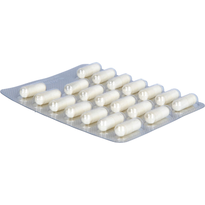 PROBIKEHL Probiotikum + Präbiotikum Kapseln, 40 pcs. Capsules