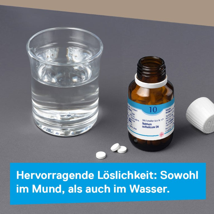 DHU Schüßler-Salz Nr. 10 Natrium sulfuricum D6 – Das Mineralsalz der inneren Reinigung – das Original – umweltfreundlich im Arzneiglas, 420 St. Tabletten