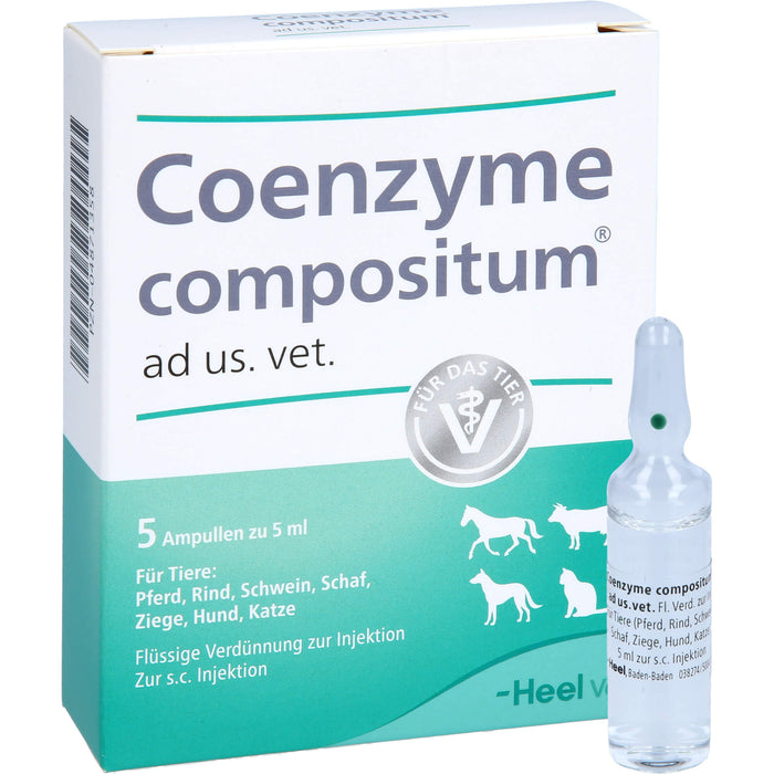 Heel Coenzyme compositum ad us. vet. Ampullen, 5 pcs. Ampoules