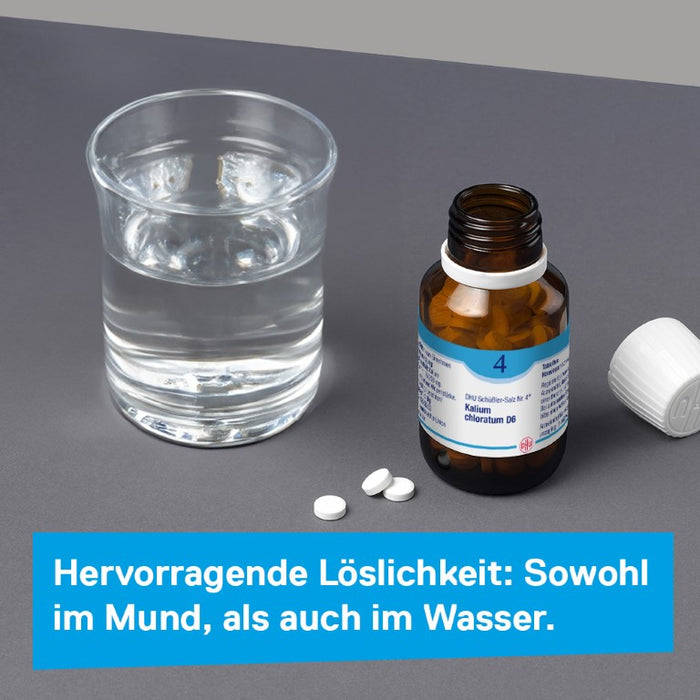 DHU Schüßler-Salz Nr. 4 Kalium chloratum D6 – Das Mineralsalz der Schleimhäute – das Original – umweltfreundlich im Arzneiglas, 80 St. Tabletten