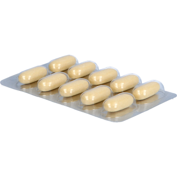 Natu-hepa 600 mg Tabletten bei Verdauungsbeschwerden, 50 St. Tabletten