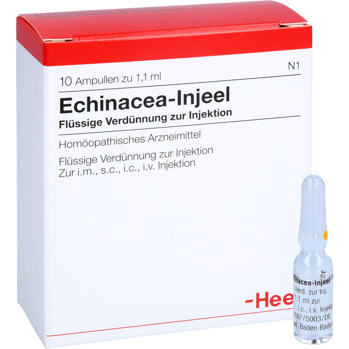 Echinacea-Injeel flüssige Verdünnung, 10 pc Ampoules