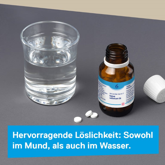 DHU Schüßler-Salz Nr. 6 Kalium sulfuricum D6 – Das Mineralsalz der Entschlackung – das Original – umweltfreundlich im Arzneiglas, 80 pcs. Tablets