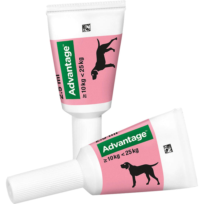 Advantage 250 mg Lösung zum Auftropfen bei Hunden, 4 pcs. Ampoules