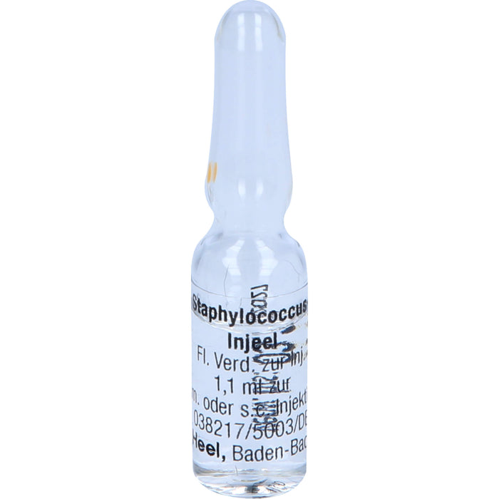 Heel Staphylococcus-Injeel flüssige Verdünnung zur Injektion, 10 pcs. Ampoules