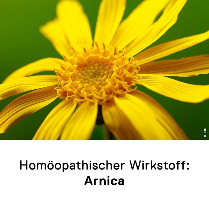 DHU Arnica C1000 Streukügelchen, 10 g Globuli