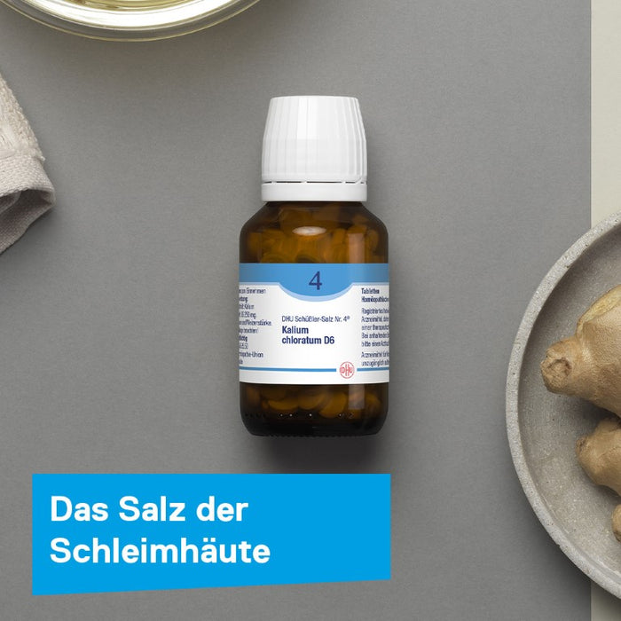 DHU Schüßler-Salz Nr. 4 Kalium chloratum D6 – Das Mineralsalz der Schleimhäute – das Original – umweltfreundlich im Arzneiglas, 80 St. Tabletten