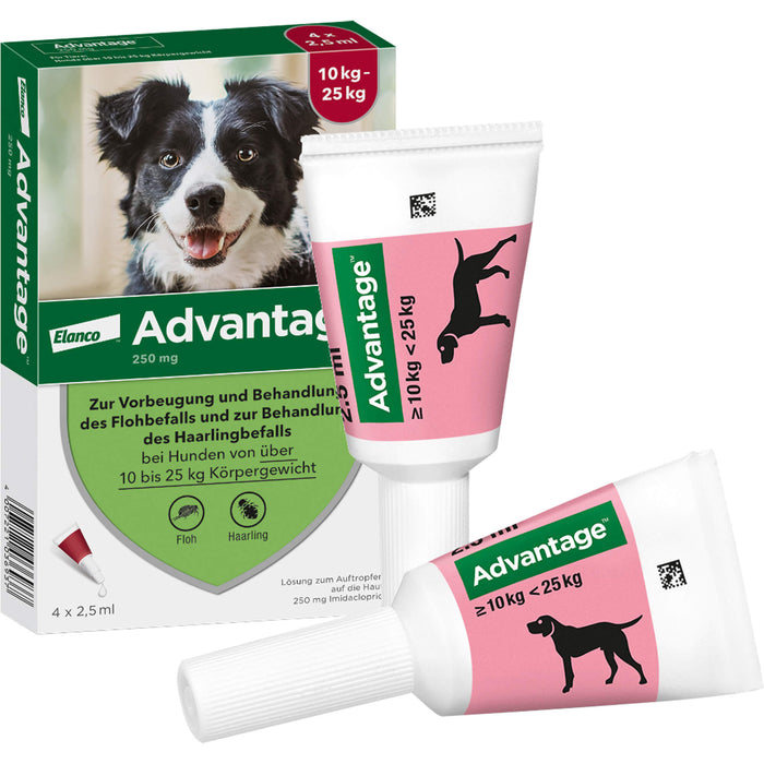 Advantage 250 mg Lösung zum Auftropfen bei Hunden, 4 pcs. Ampoules