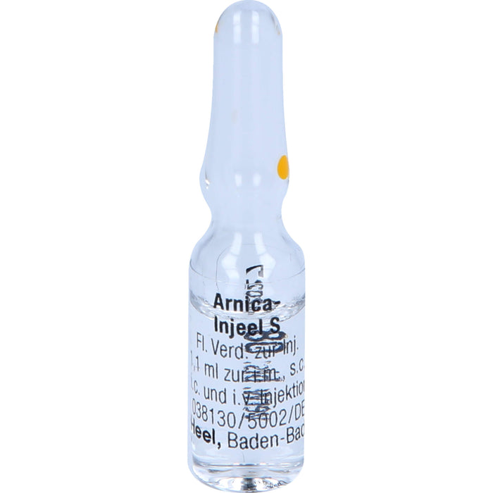 Arnica-Injeel S Inj.-Lsg., 10 pc Ampoules