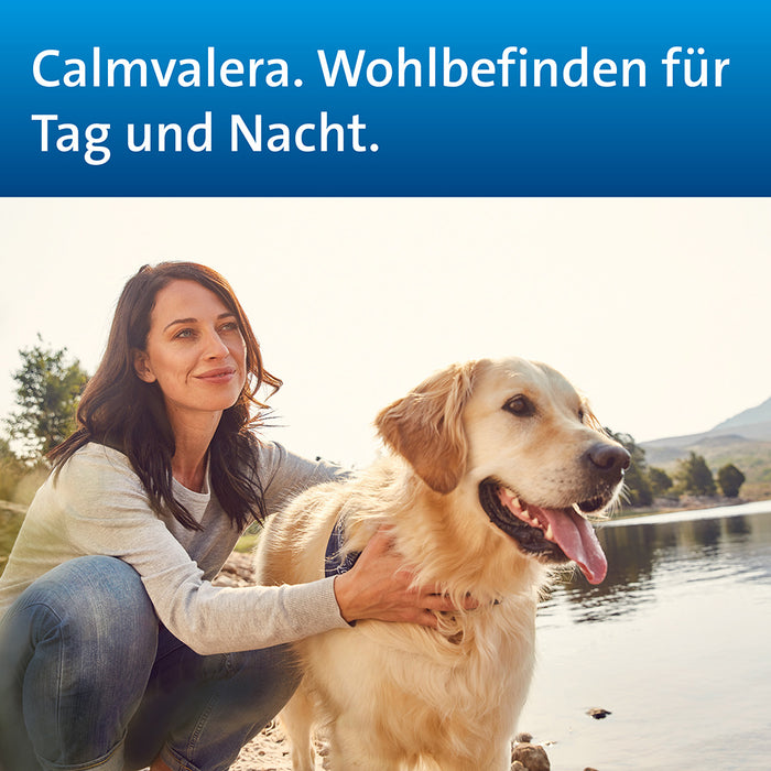 Calmvalera Tabletten bei nervösen Störungen wie Schlafstörungen und Unruhe, 50 St. Tabletten